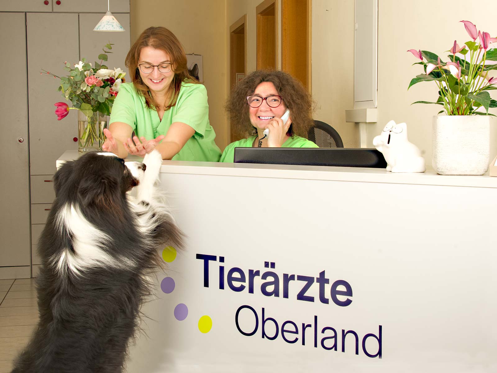 Empfangstheke mit Hund und Mitarbeiterinnen