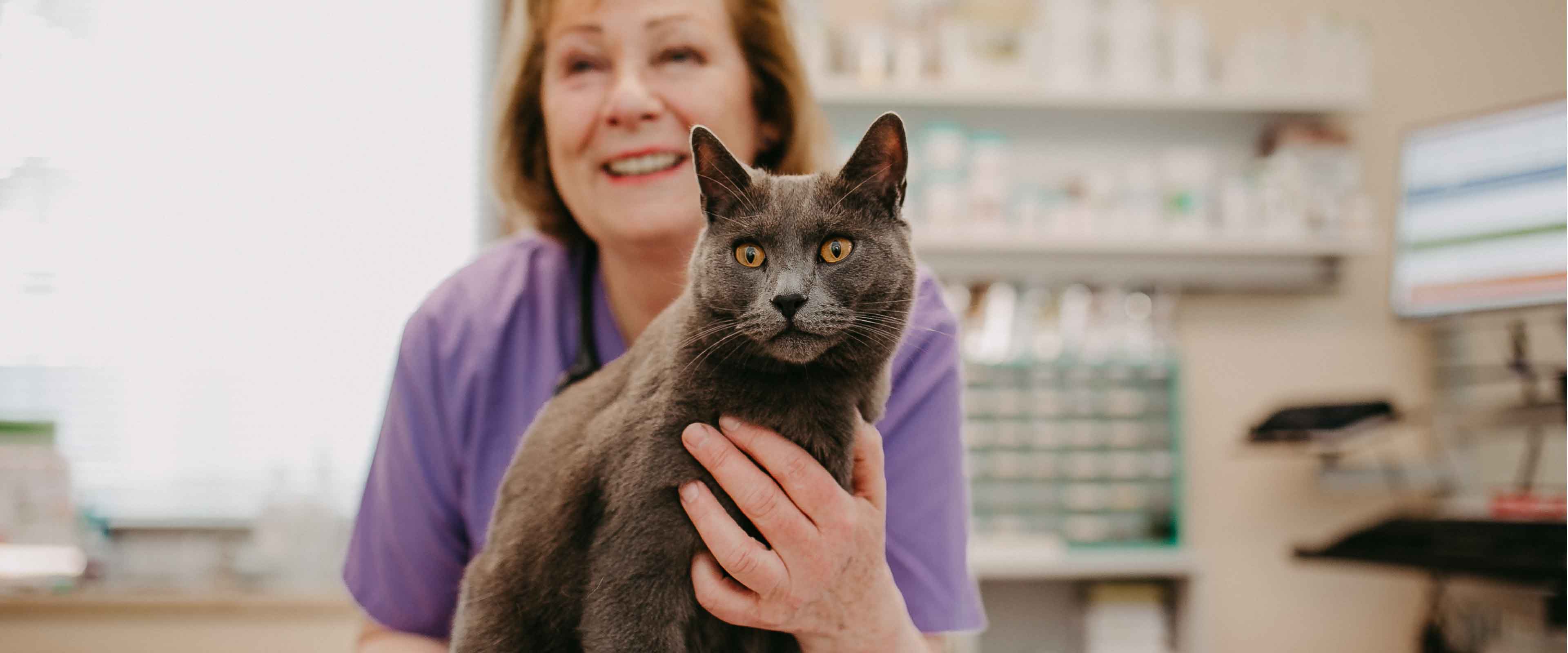 Dr. med. vet. Evelin C. Lindner mit Katze