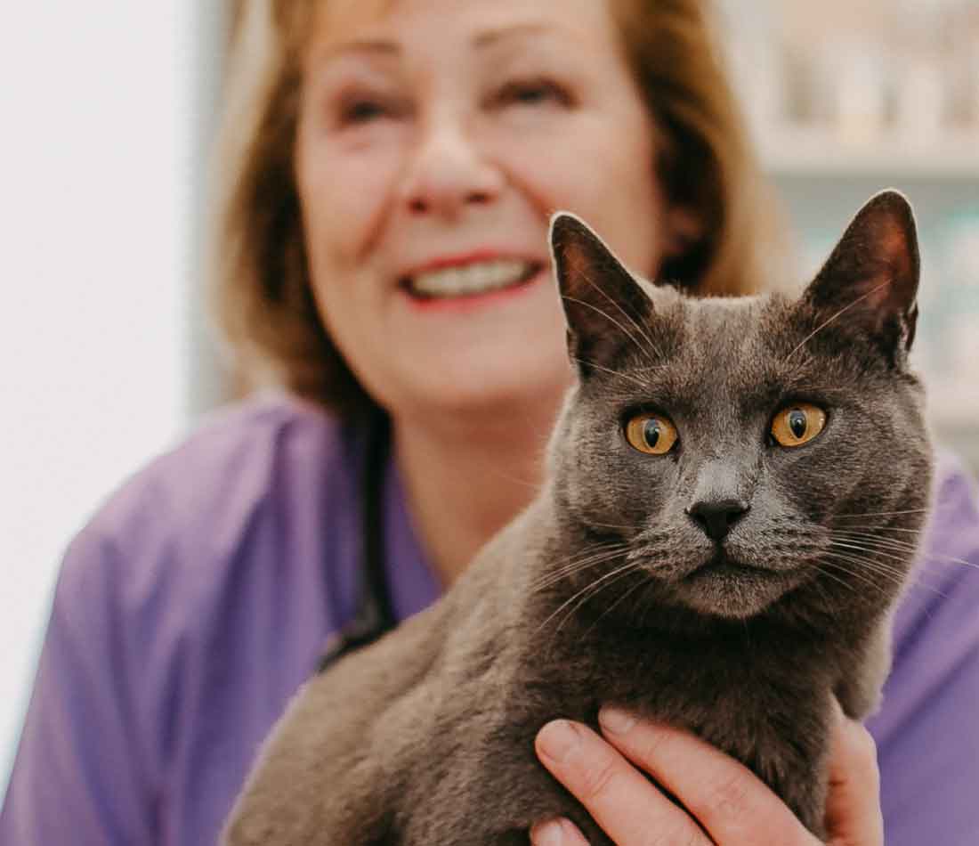 Dr. med. vet. Evelin C. Lindner mit Katze mobile