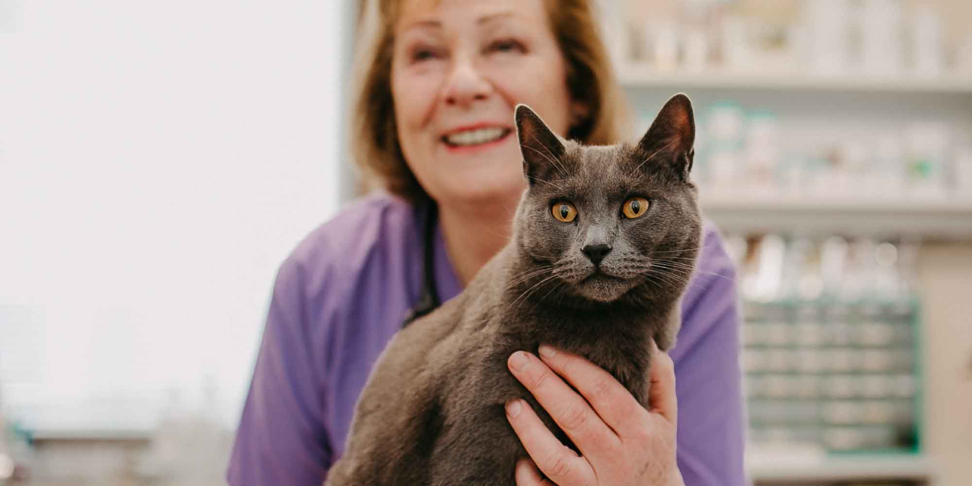 Dr. med. vet. Evelin C. Lindner mit Katze tablet